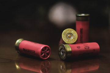 shotgun shells sitting on a wooden surface