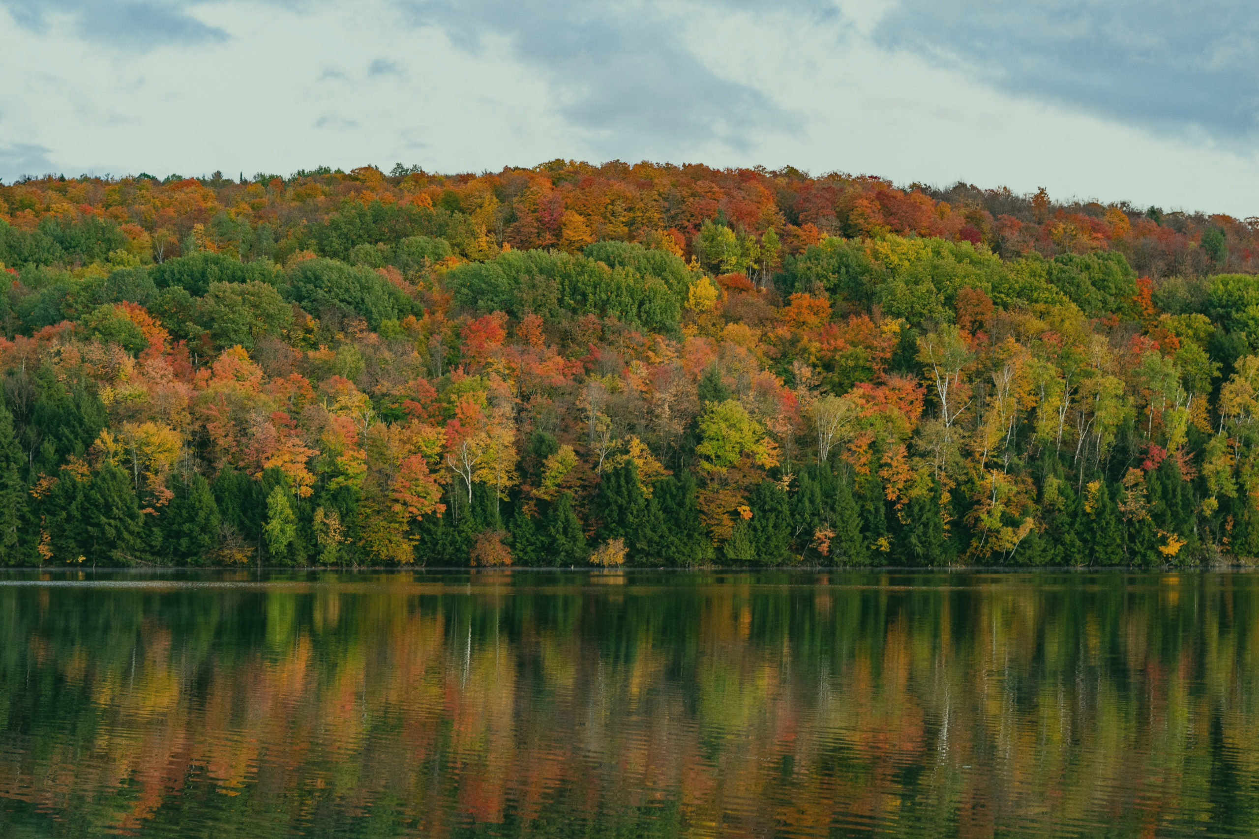 fall foliage with an inverted reflection against a rural pond